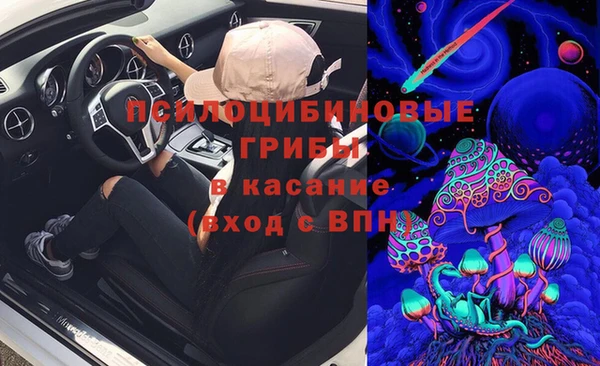 ПСИЛОЦИБИНОВЫЕ ГРИБЫ Белокуриха