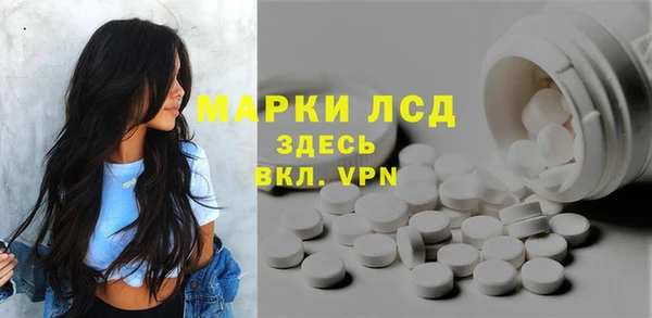 ПСИЛОЦИБИНОВЫЕ ГРИБЫ Белокуриха