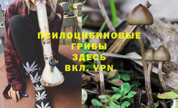 марки nbome Беломорск