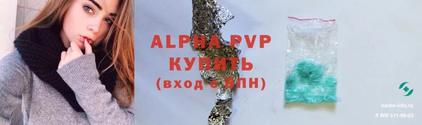ПСИЛОЦИБИНОВЫЕ ГРИБЫ Белокуриха