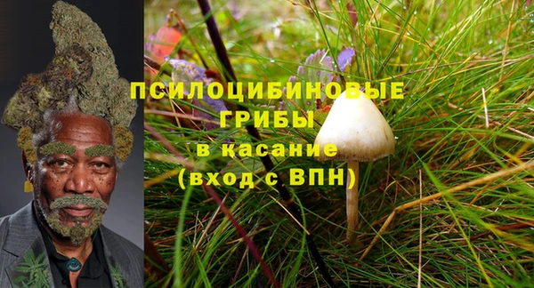 ПСИЛОЦИБИНОВЫЕ ГРИБЫ Белокуриха