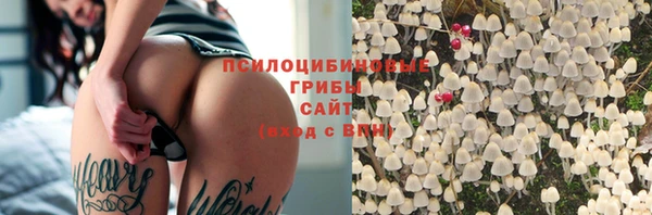 ПСИЛОЦИБИНОВЫЕ ГРИБЫ Белокуриха