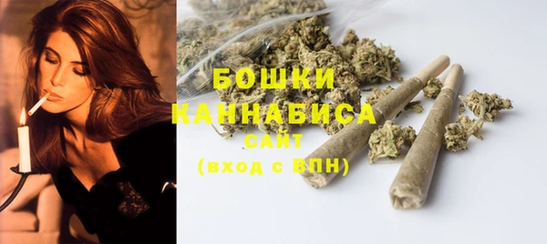 ПСИЛОЦИБИНОВЫЕ ГРИБЫ Белокуриха